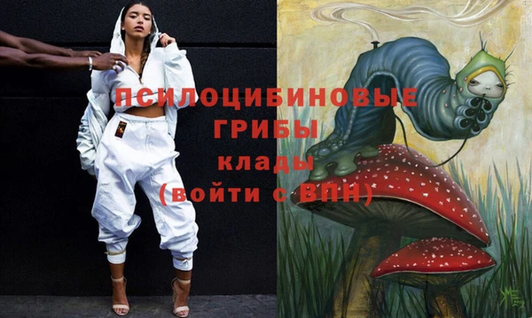 твердый Осташков