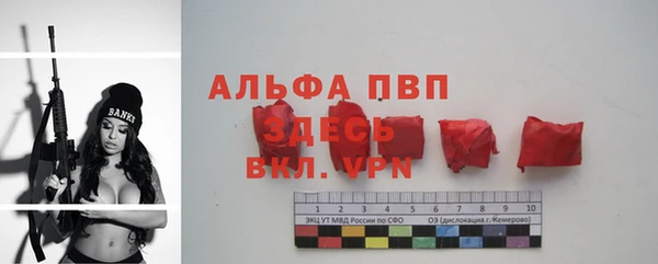твердый Осташков