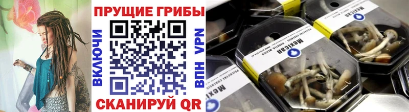 купить наркоту Полярные Зори Псилоцибиновые грибы прущие грибы